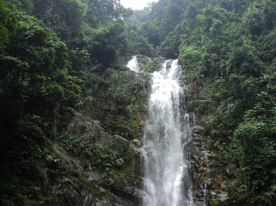 鼎湖山景点图片