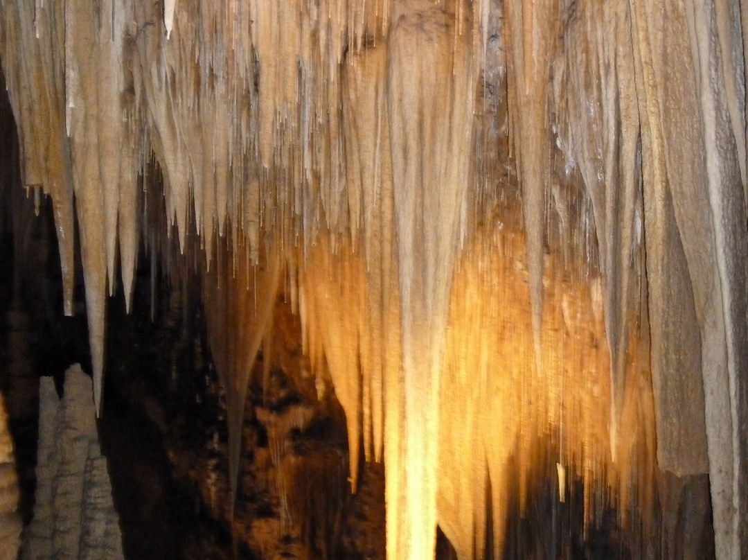 Hastings Caves and Thermal Springs景点图片