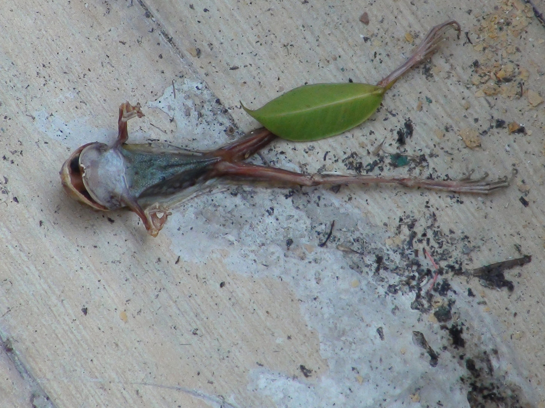 香江温泉度假村主图