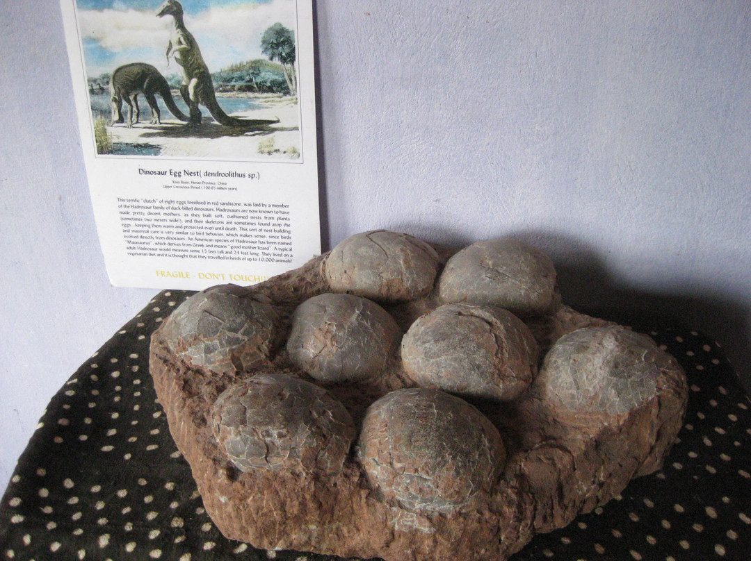 Celtic and Prehistoric Museum-凯里郡必去景点