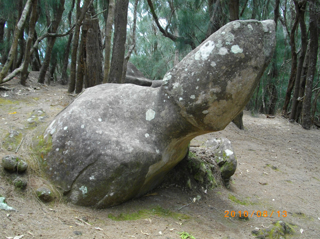 Phallic Rock (Ka Ule o Nanahoa)景点图片