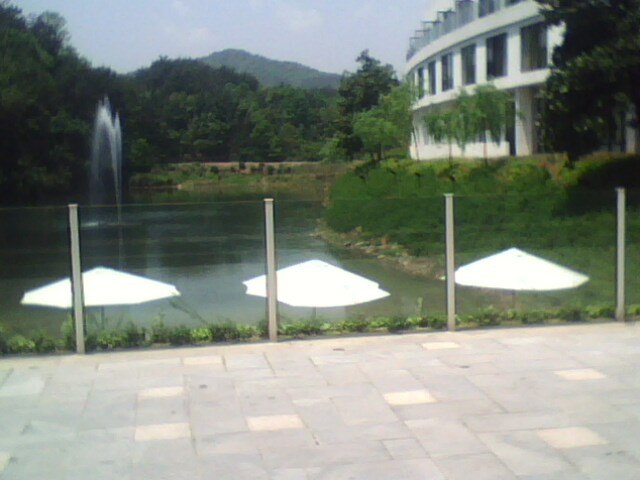 凤湖烟柳度假酒店主图