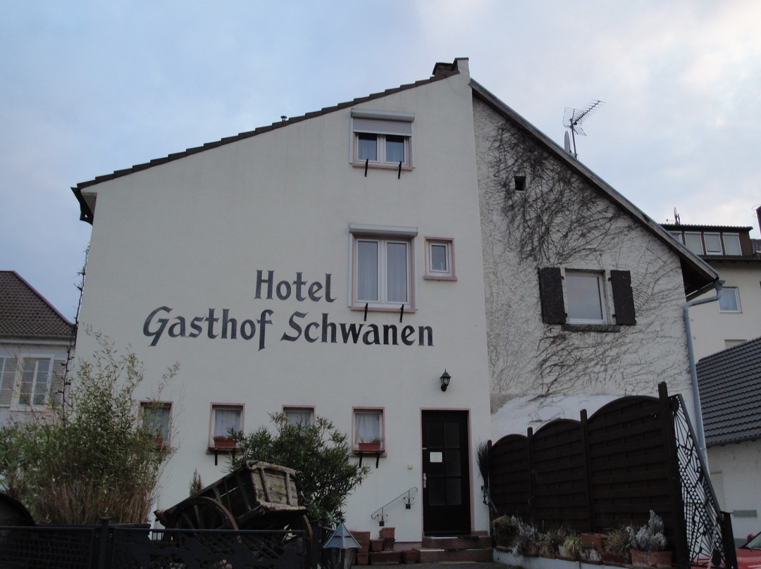 Baldner's Gasthof Schwanen主图