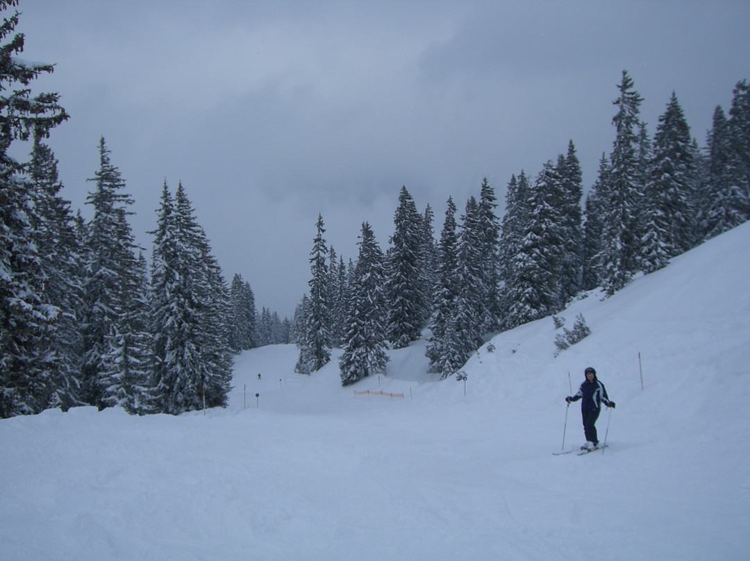 Ski Arlberg景点图片