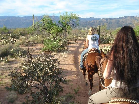 Houston's Horseback Riding-图森必去景点