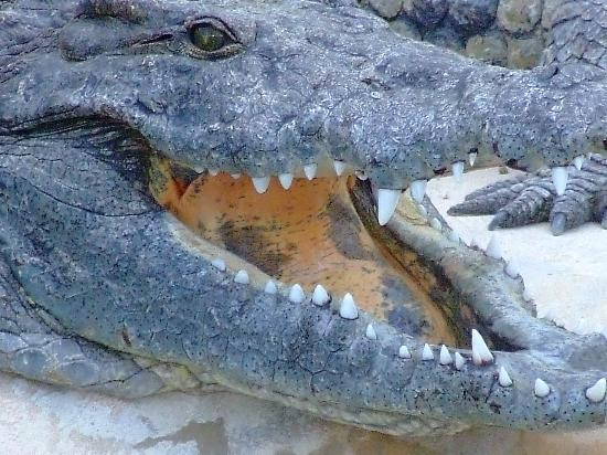 Park Djerba Explore-米栋必去景点