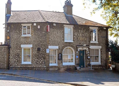 The Walnut Tree主图