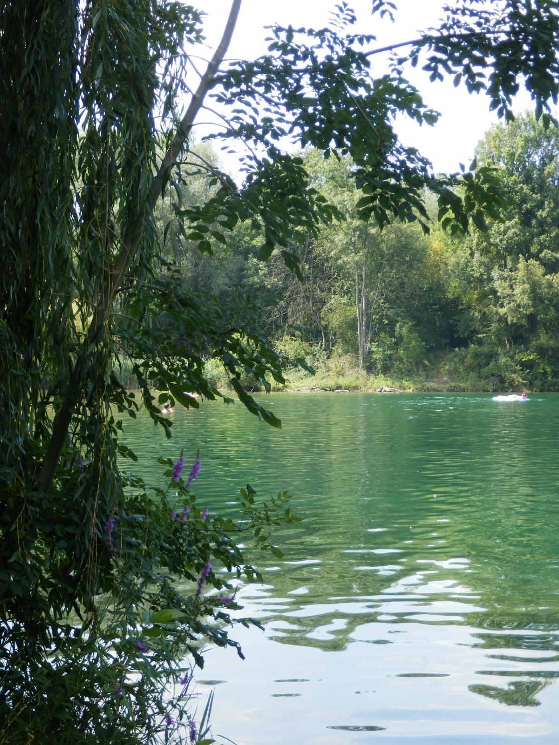 Traisentalerhof - Altenriederer am See-泳池
