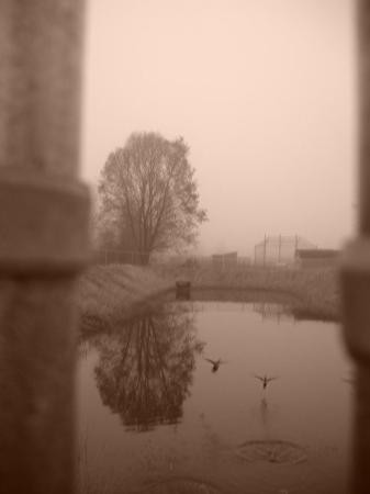 Purchase旅游攻略图片