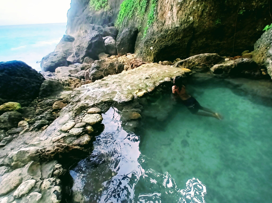 Temeling Jungle Inn主图