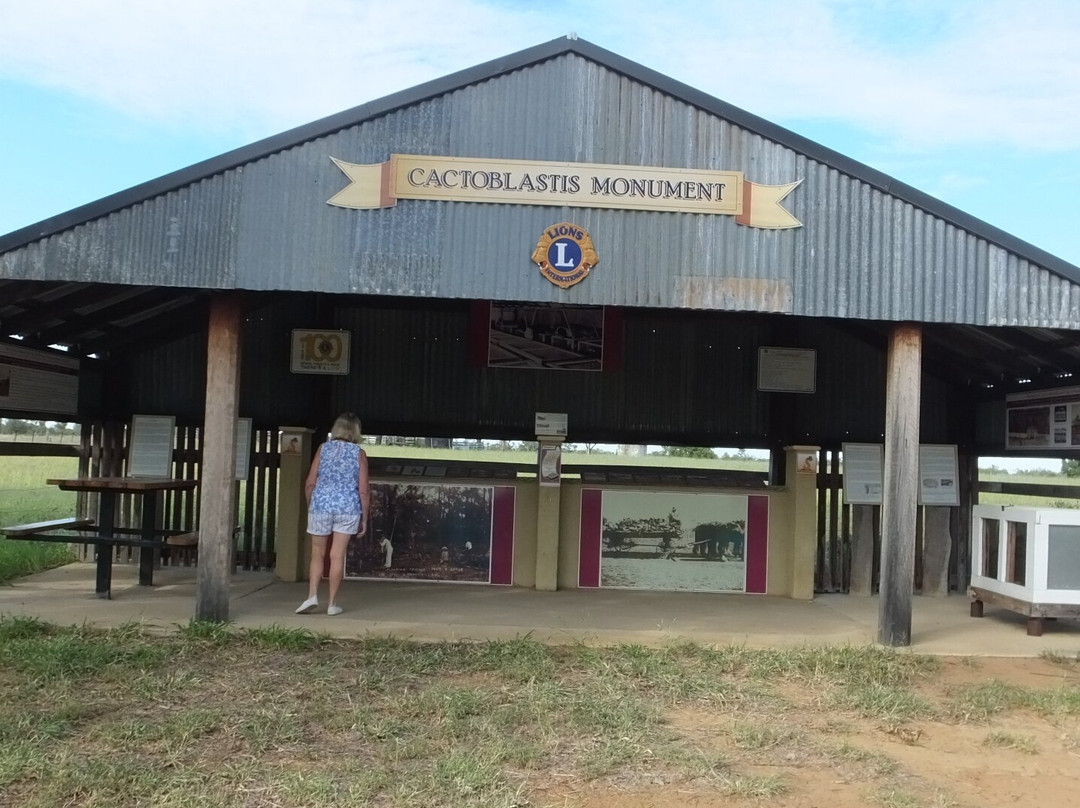 Cactoblastis Monument-Chinchilla必去景点