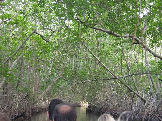 Caroni Bird Sanctuary-Caroni必去景点
