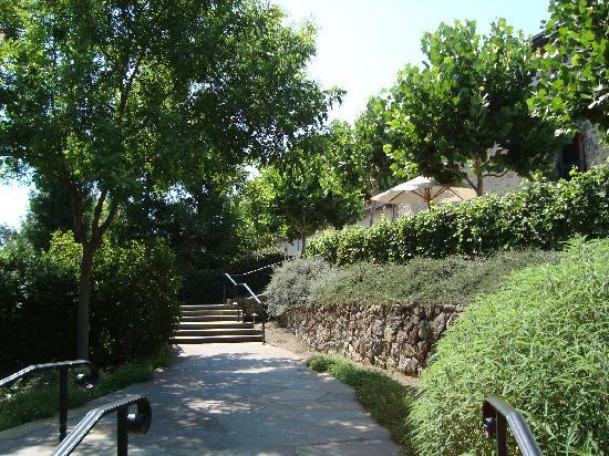 Beringer Vineyards景点图片
