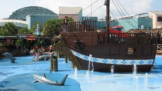 佛罗里达水族馆-坦帕必去景点