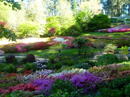 Dandenong Ranges Botanic Garden-奥林达必去景点