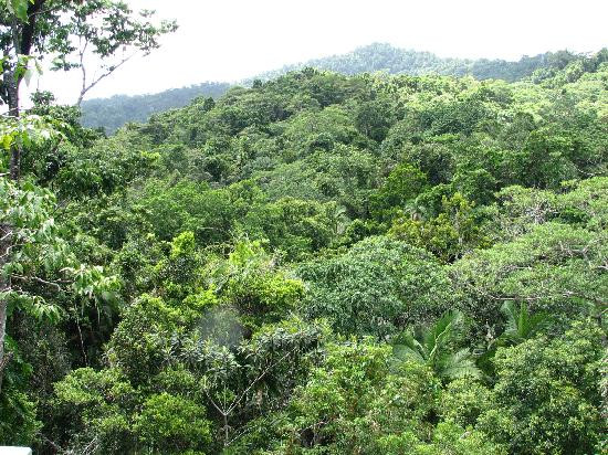 Daintree Discovery Centre-Cow Bay必去景点