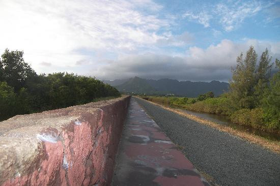 Kawai Nui Marsh自然保护区-科纳必去景点