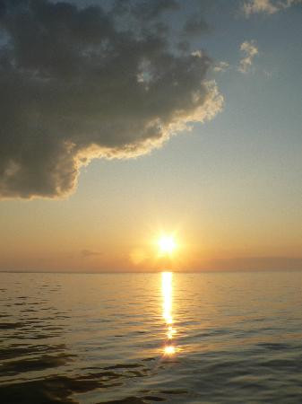 Blue Crab Chesapeake Charters-Rock Hall必去景点