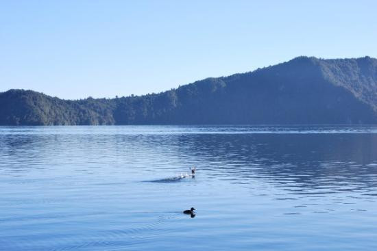 Lake Rotoiti-罗托鲁瓦必去景点