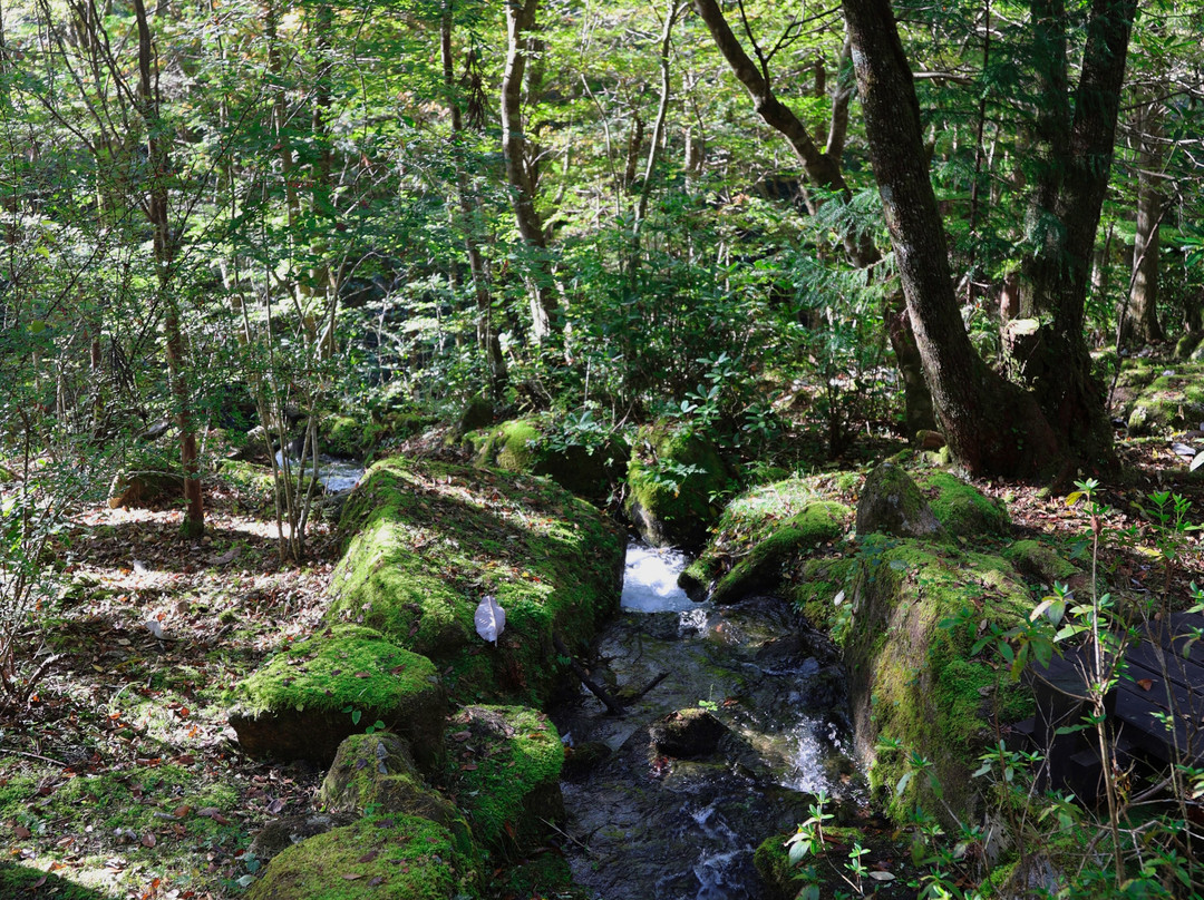 Tsukechi Gorge-中津川市必去景点