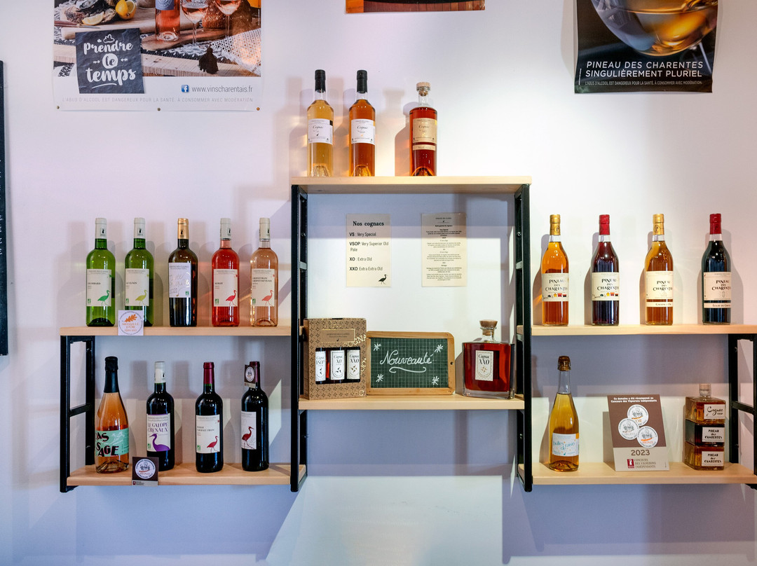 Domaine des Claires景点图片