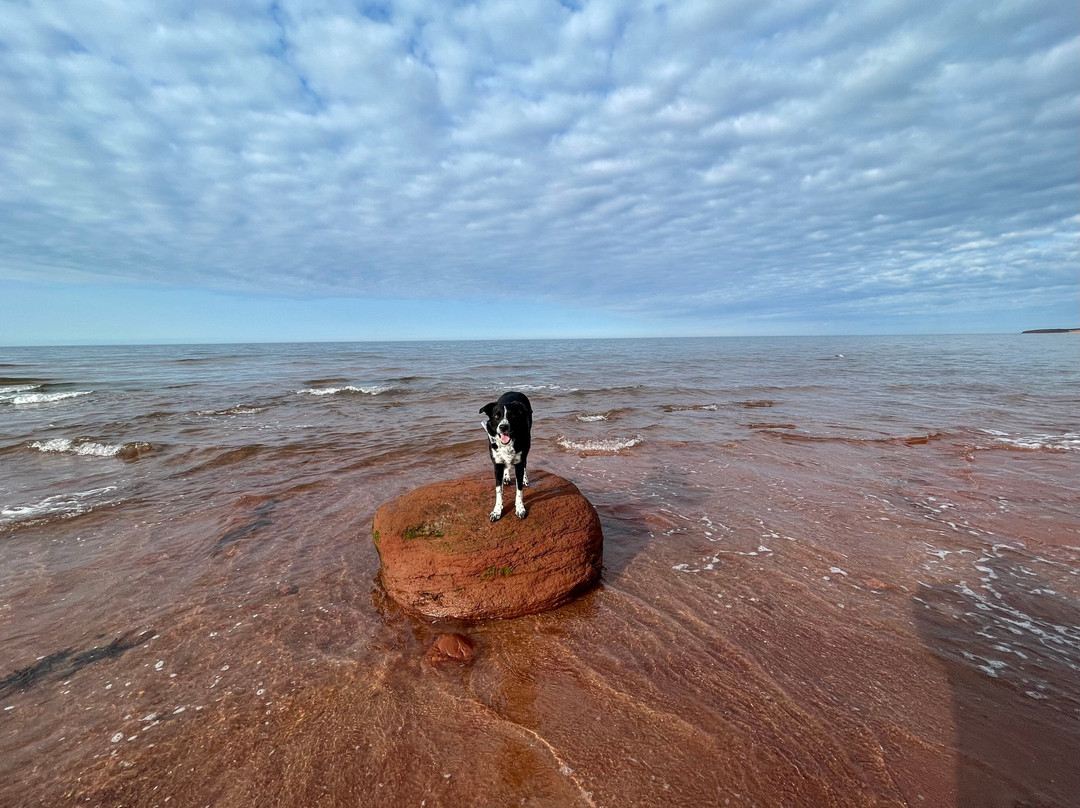 North Lake Beach Motel主图