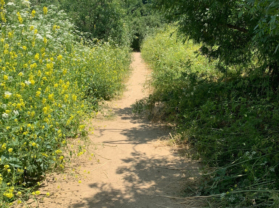 Carbon Canyon Regional Park-Brea必去景点