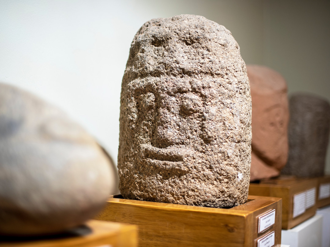 Museo Municipal Carlos Dreyer-普诺大区必去景点