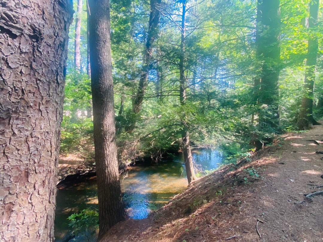 Stratton Brook State Park-锡姆斯伯里必去景点