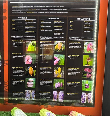 Choco-Story Valladolid-巴利亚多利德必去景点