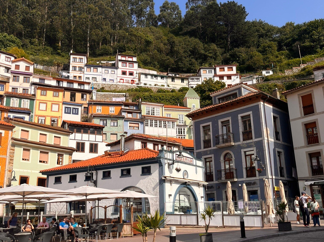 El Mirador de Cudillero主图