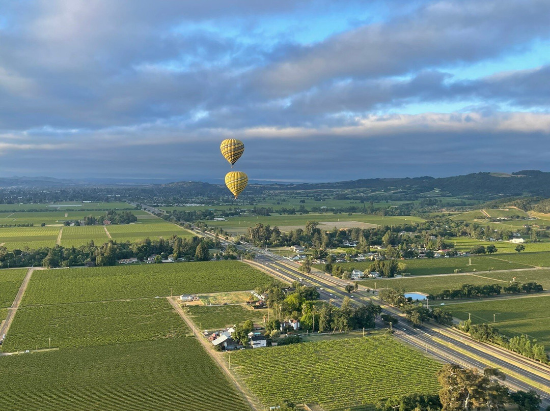 Napa Valley Aloft Balloon Rides景点图片