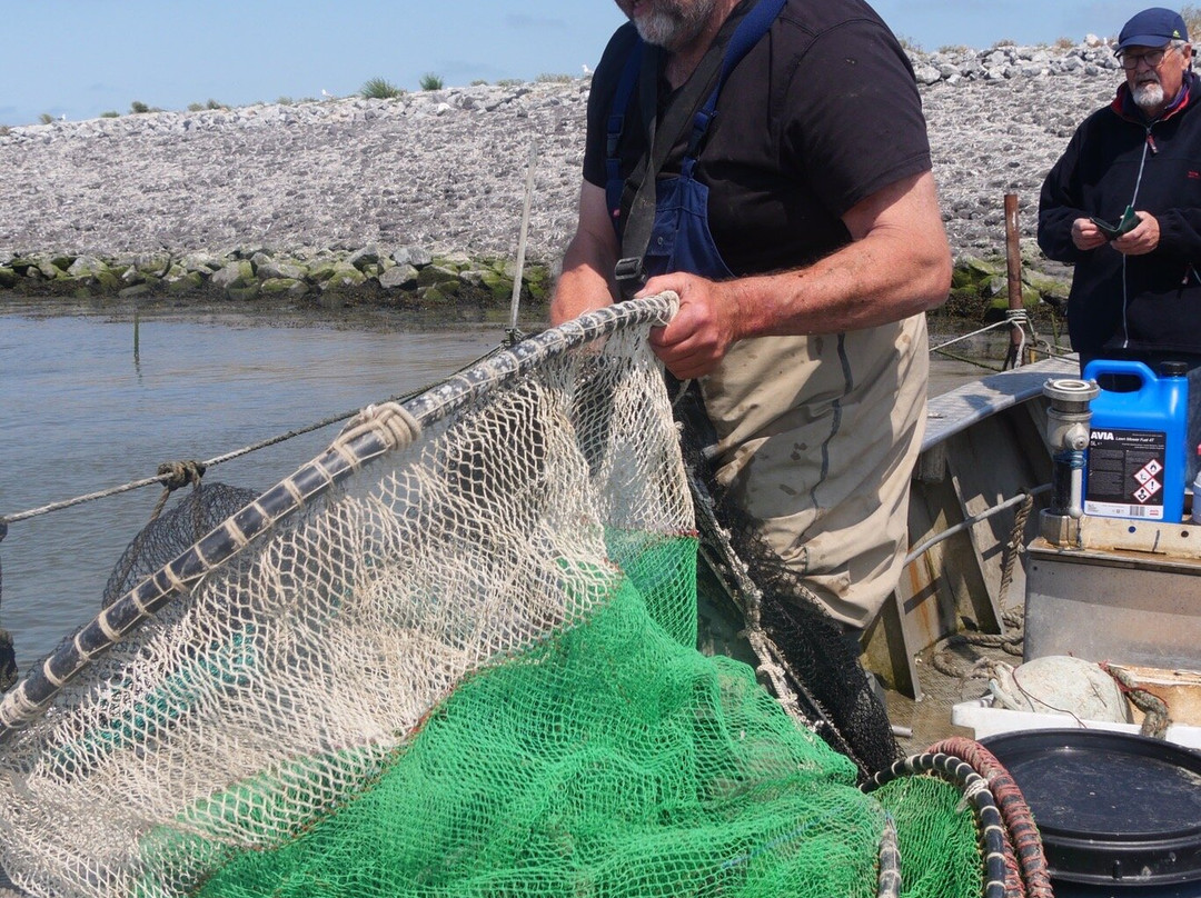 Jan Rotgans-Den Oever必去景点