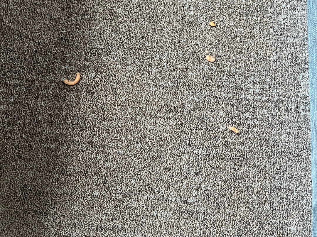 Home2 Suites By Hilton Phoenix Airport North主图