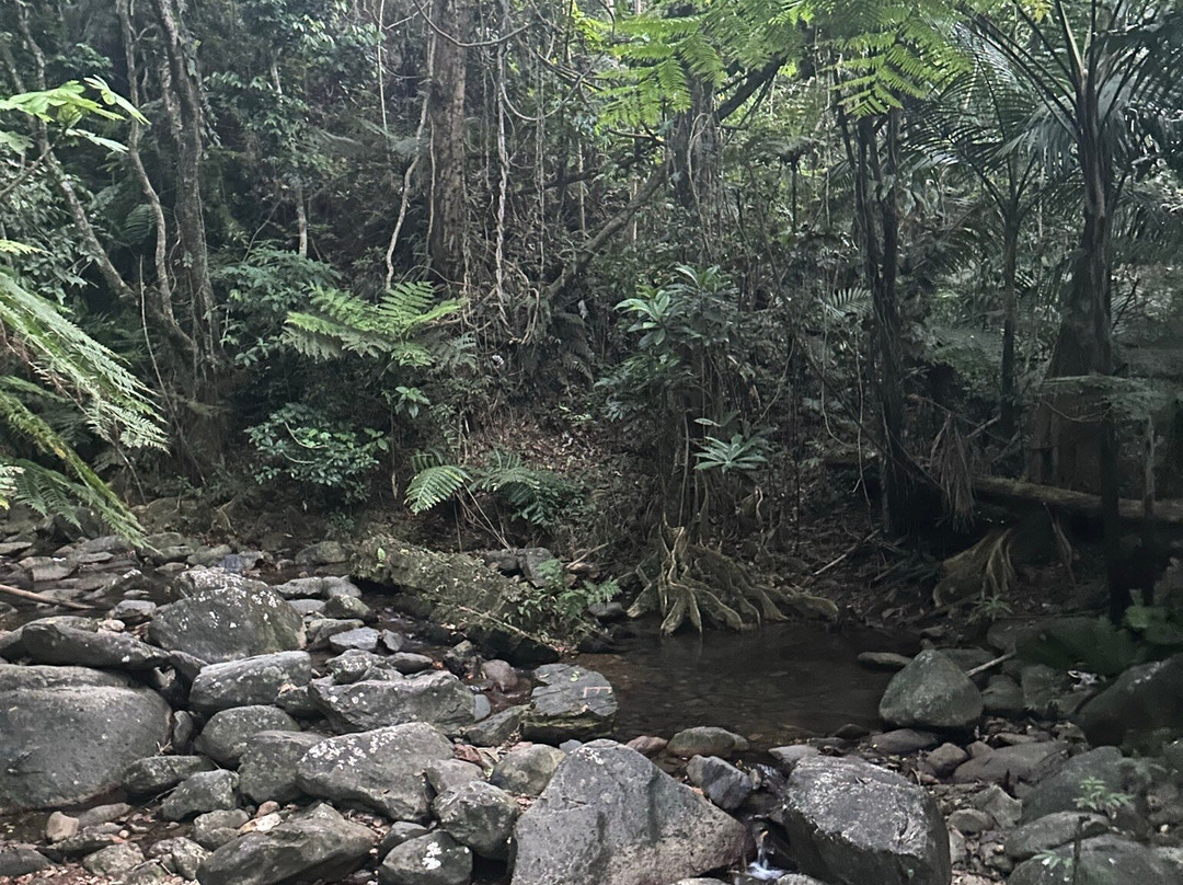 El Yunque Tours-Rio Grande必去景点