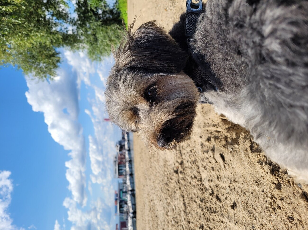 BEECH Resort Fleesensee主图