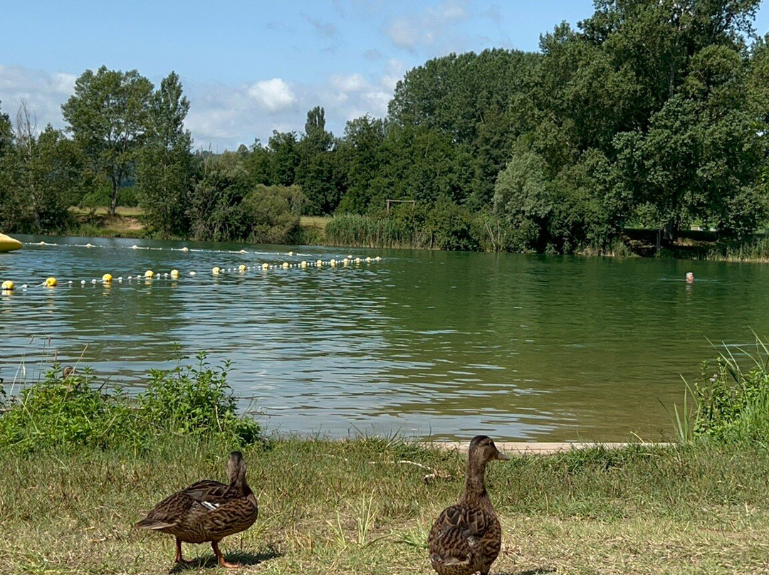 Lac des Vernets景点图片