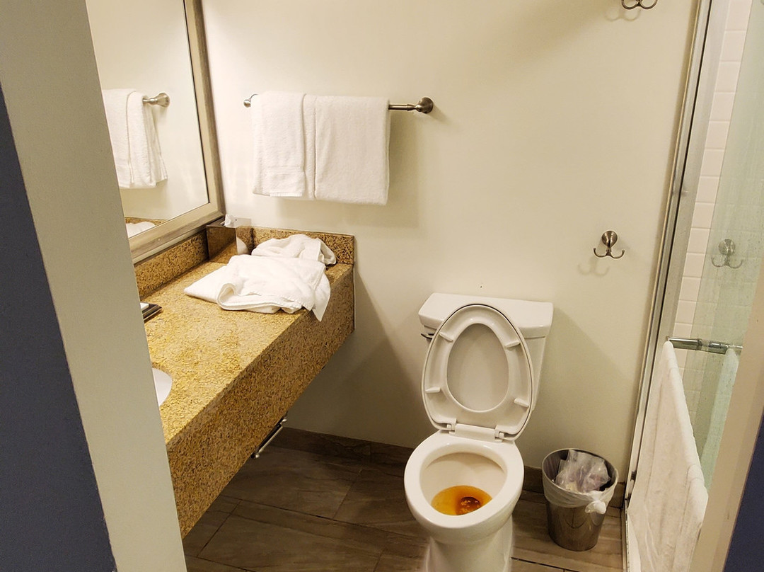 Seasider Motel主图