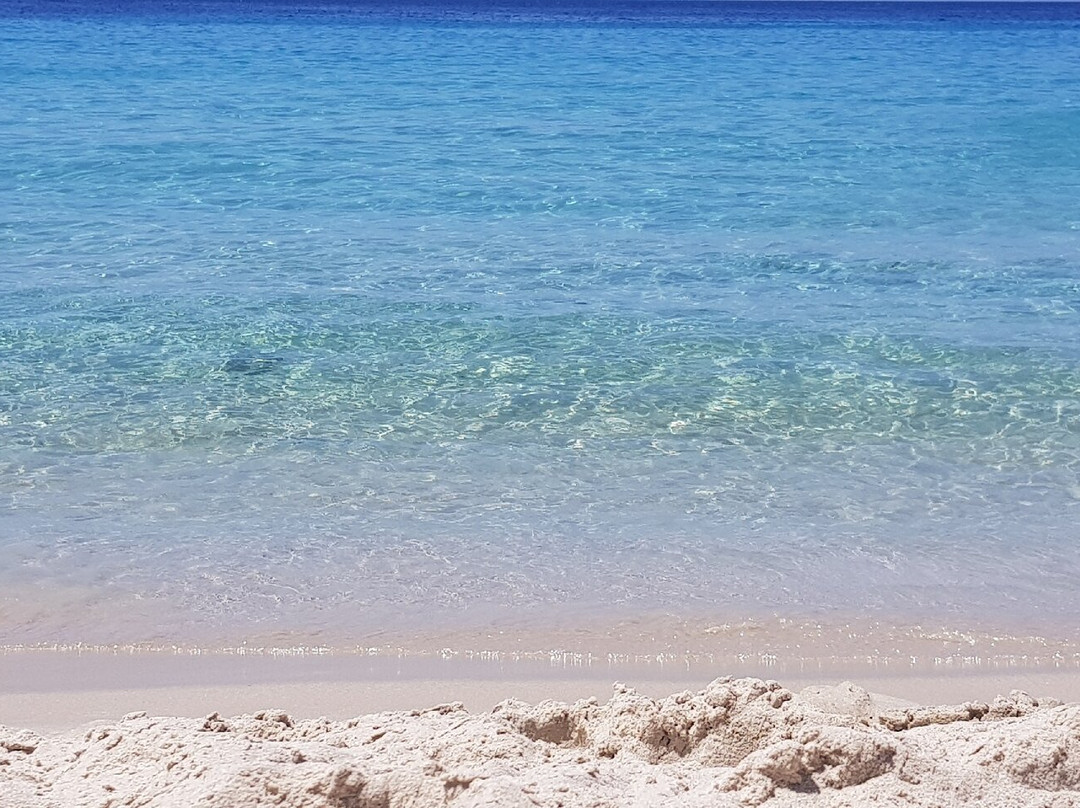 Livadi Beach-Donousa必去景点