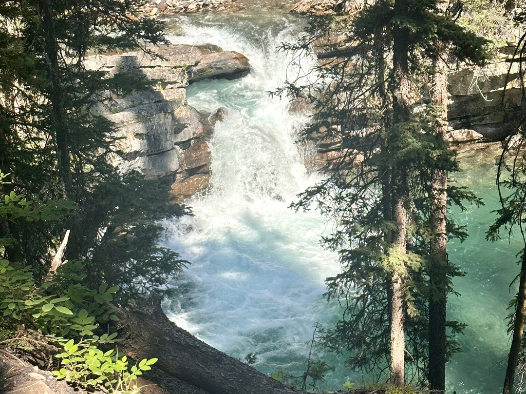 弓河谷观景大道-班夫必去景点