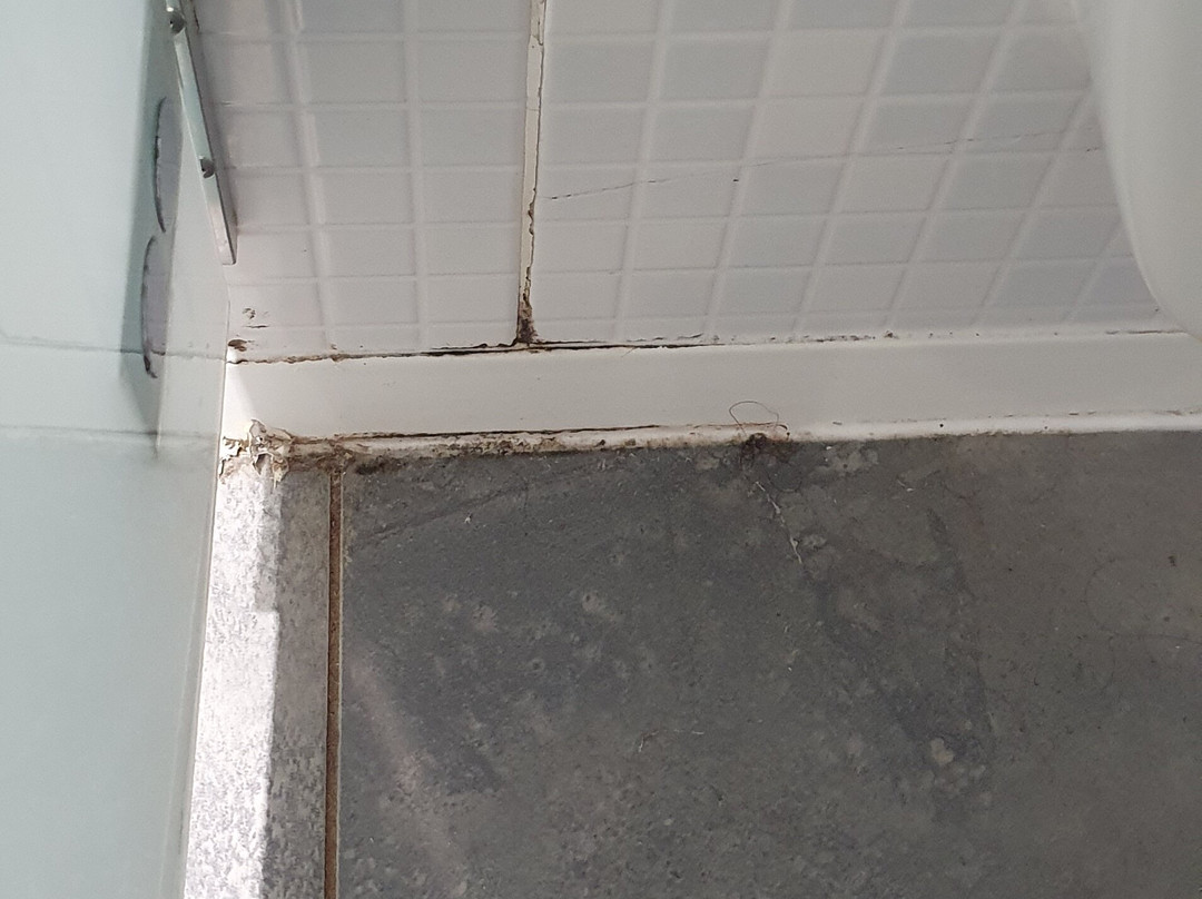 钟楼巴永娜酒店主图