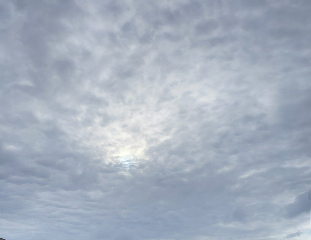 Playa de Sopelana景点图片