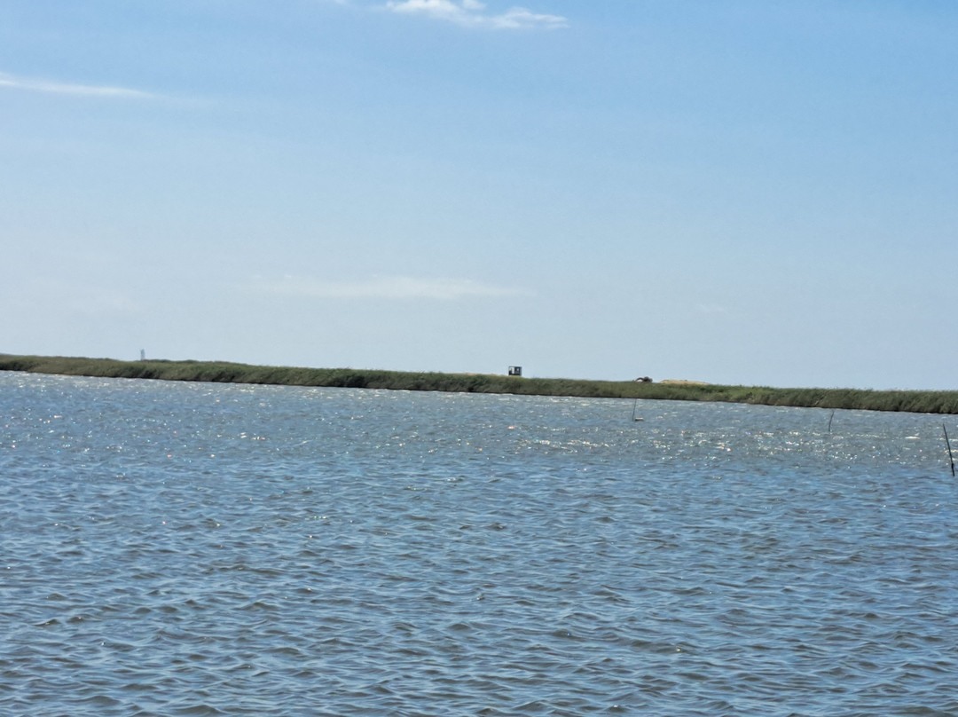 Delta Evros Explorer景点图片