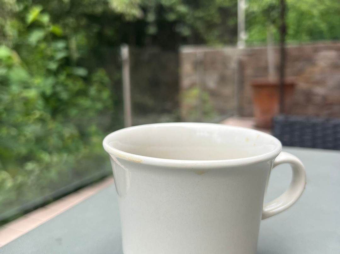 Collection O Amate del Rio主图