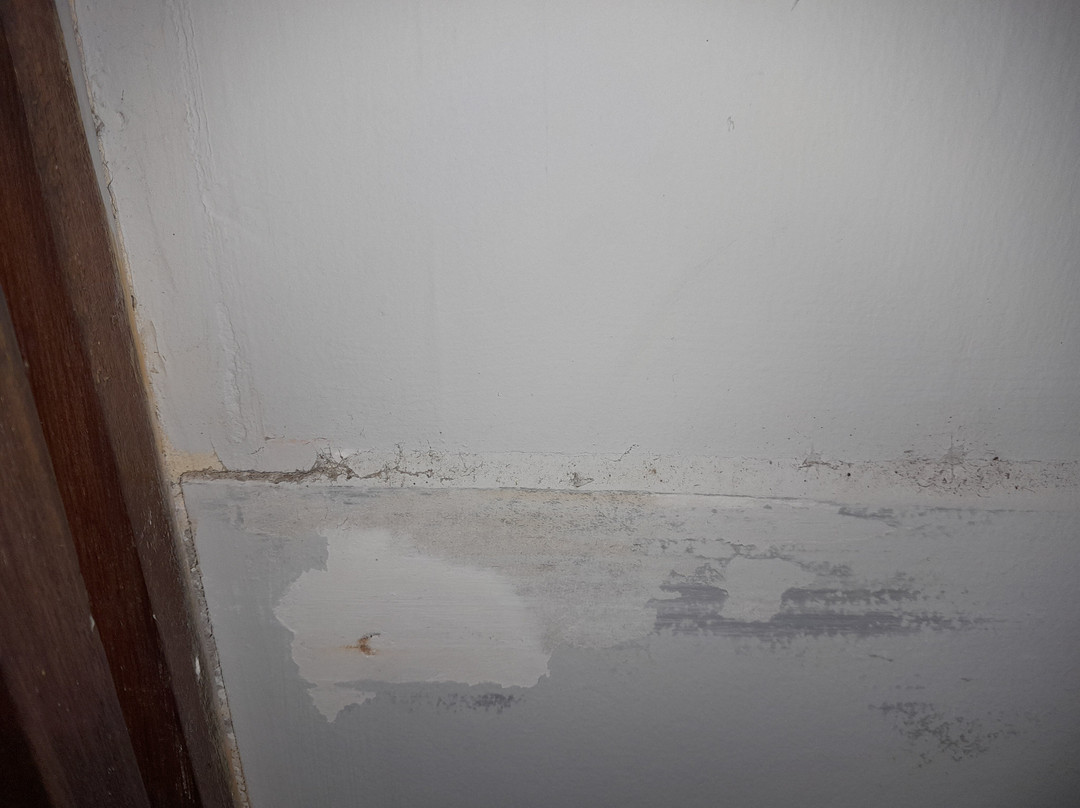 塔曼塞里尼海滩别墅主图