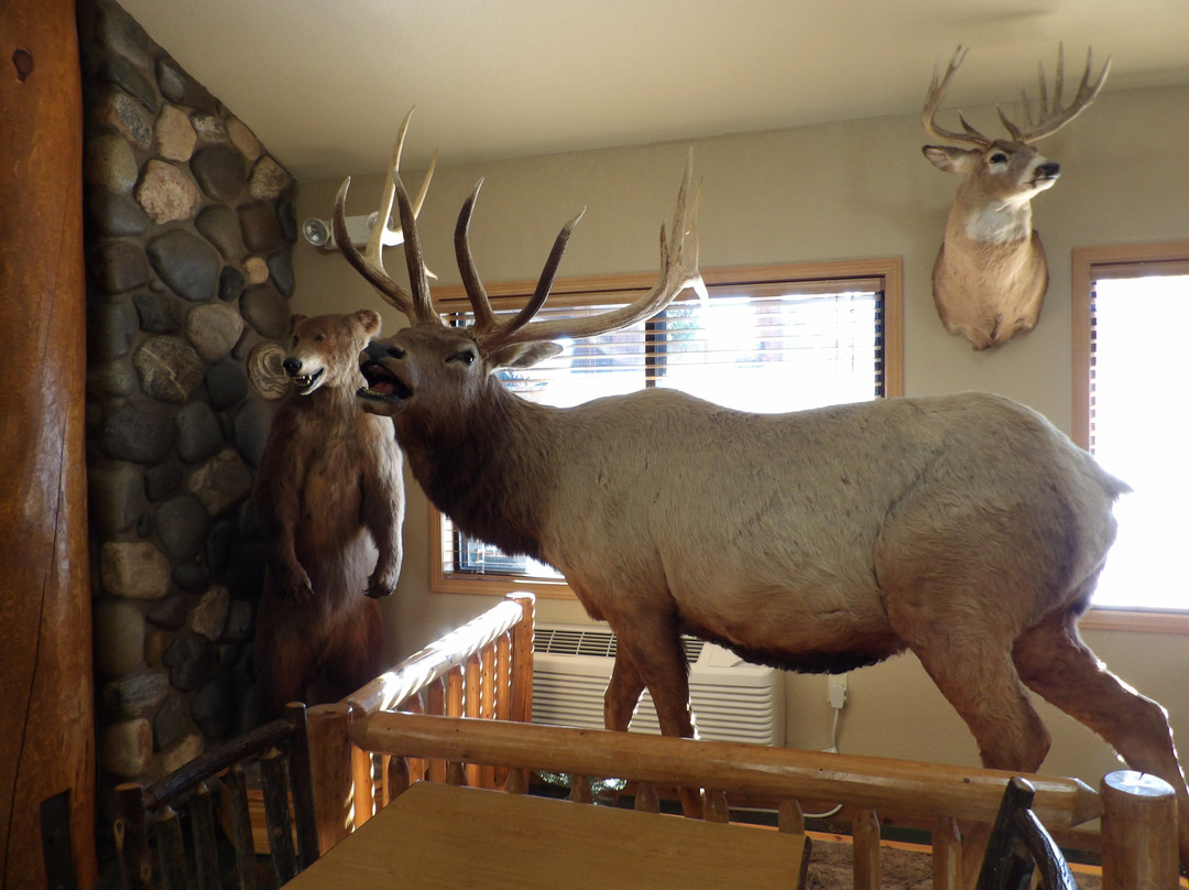 AmericInn by Wyndham Cody主图