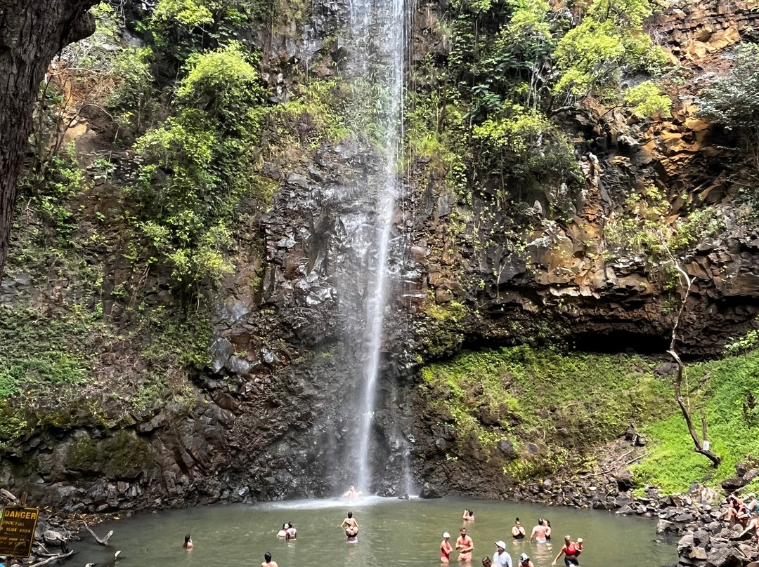 Kayak Wailua景点图片