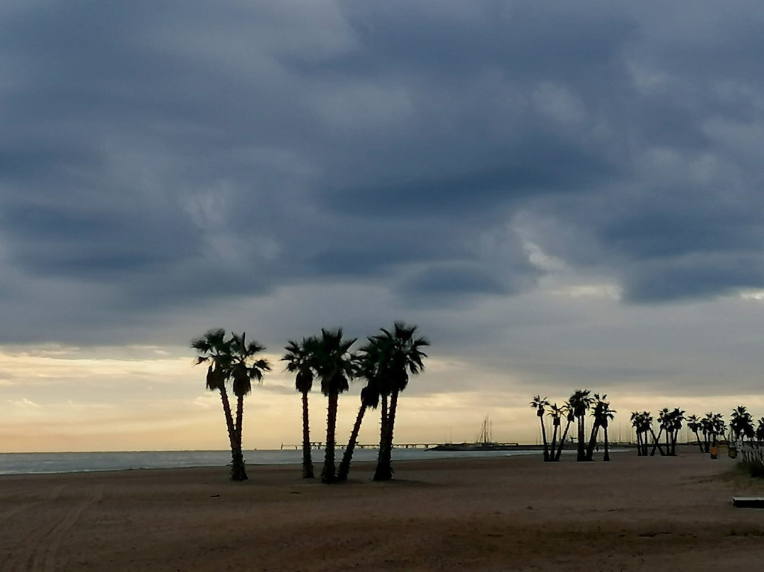 Platja De Canet D'en Berenguer景点图片