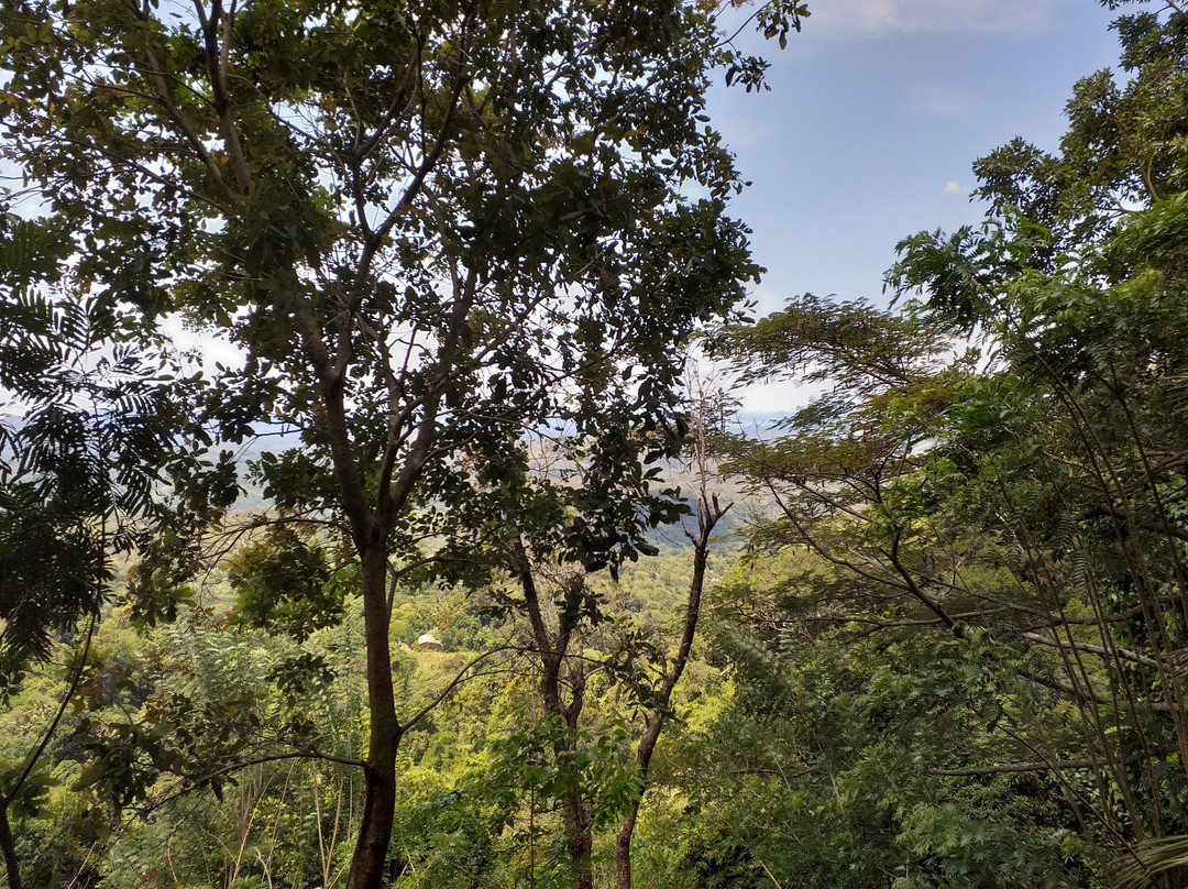 Rakkhiththa Kanda Aranya Senasanaya-Wellawaya必去景点