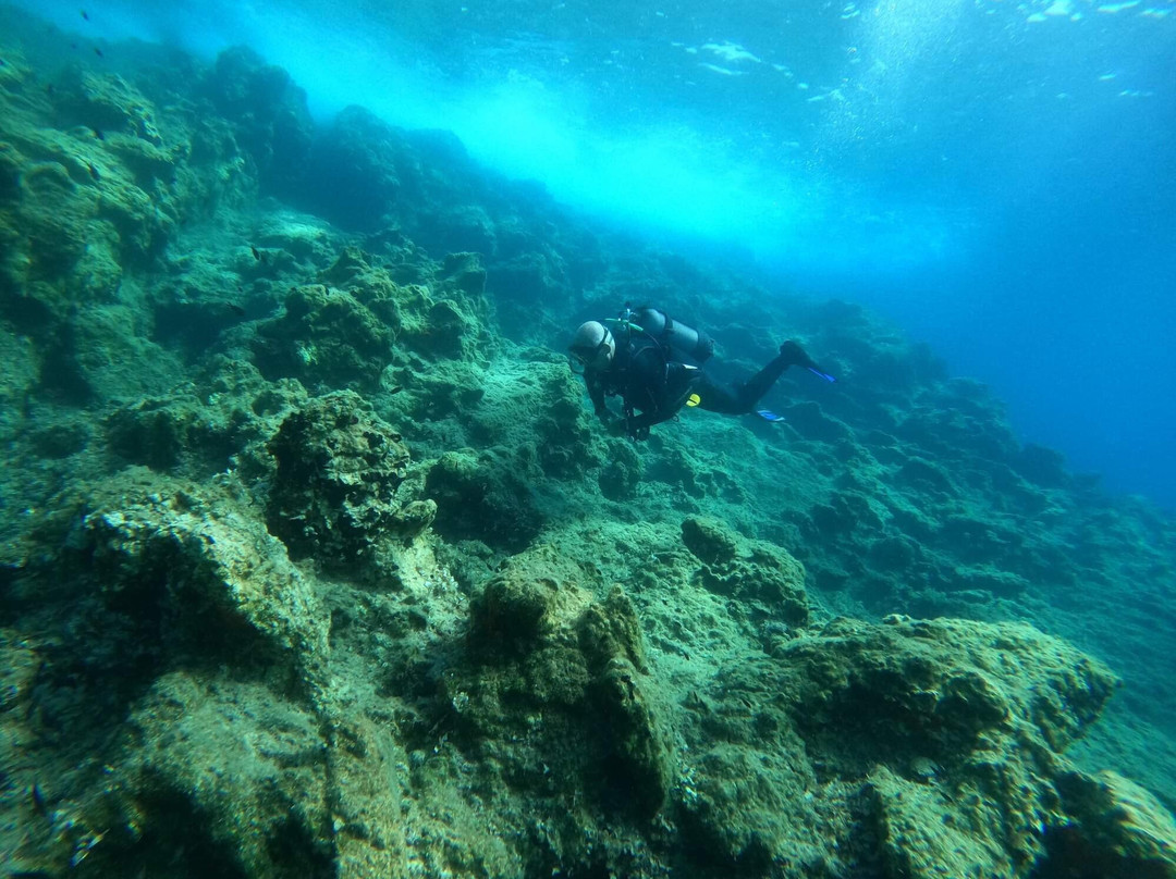 Deep Blue Divers-塞沃塔必去景点